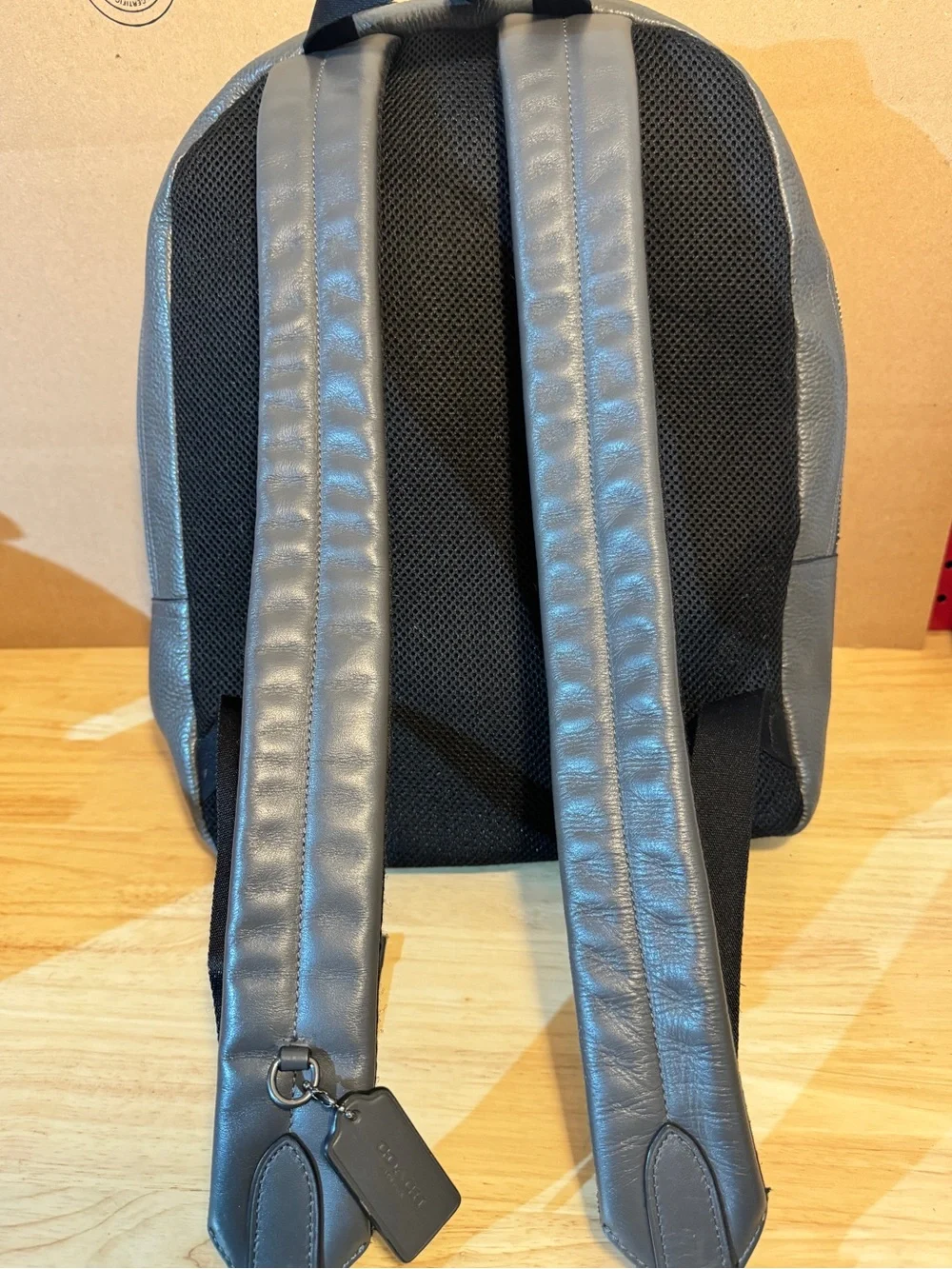 Coach Men's Gray Leather Backpack with Blue Stripe